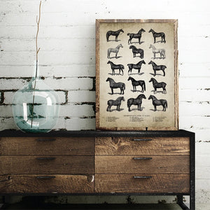 Póster Vintage de animales de granja, impresión de pollo, cerdo, oveja y caballo, cuadro sobre lienzo para pared, imagen de Animal Retro, decoración del hogar