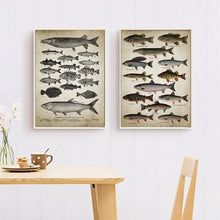 Cargar imagen en el visor de la galería, Póster Artístico en lienzo para pared de pesca con caña, pintura de razas de peces, imagen de pared de peces de agua dulce, regalo de pescador, decoración de cueva para hombre