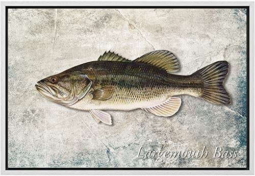 wall26 Framed Canvas Print Wall Art Largemouth Bass Fish on Granite Background Marine Life Animals Digital Art Realism Nautical Scenic Colorful Ultra for Living Room, Bedroom, Office - 24