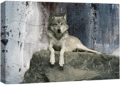 wall26 - Animal Theme Canvas Wall Art - A Wolf Laying on a Boulder - Giclee Print Gallery Wrap | Modern Home Art Stretched & Ready to Hang - 16x24 inches