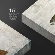 Load image into Gallery viewer, wall26 Framed Canvas Print Wall Art Trout Fish on Granite Background Marine Life Animals Digital Art Realism Nautical Scenic Colorful Ultra for Living Room, Bedroom, Office - 16&quot;x24&quot;