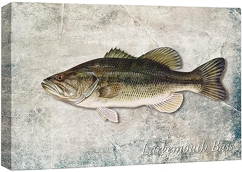 wall26 Framed Canvas Print Wall Art Largemouth Bass Fish on Granite Background Marine Life Animals Digital Art Nautical Scenic Colorful Ultra for Living Room, Bedroom, Office - 16