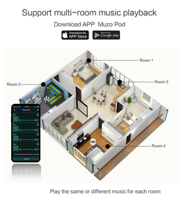 Diy WiFi Bluetooth Amplifier Board Airplay2 Multiroom