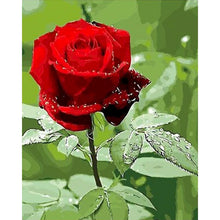 Cargar imagen en el visor de la galería, Cuadro sin marco Diy pintura por números girasoles flores pared arte cuadro por número caligrafía y pintura