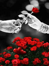 Cargar imagen en el visor de la galería, Evershine diamante bordado Rosa diamantes de imitación cuadros completo cuadrado diamante pintura flores negro blanco punto de cruz decoración del hogar
