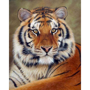 Pintura por números Diy, cabeza de tigre blanco y negro, pintura por número, regalo para adultos, imagen de Animal para colorear sobre lienzo, pintura acrílica