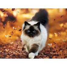 Cargar imagen en el visor de la galería, GATYZTORY marco gato Animal pintura por números pintado a mano único Diy regalo moderno hogar pared decoración 60x75cm pinturas acrílicas