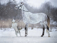 Laden Sie das Bild in den Galerie-Viewer, AZQSD Winter voller quadratischer Diamant Malerei Pferd DIY 5D handgemachtes Geschenk Diamant Stickerei Verkauf Tier Dekor für Zuhause Full Kits