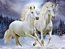 Cargar imagen en el visor de la galería, Evershine 5D diamante pintura caballo punto de cruz animales mosaico bordado conjunto completo invierno diamantes de imitación imágenes decoración hogar