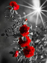 Cargar imagen en el visor de la galería, Evershine diamante bordado Rosa diamantes de imitación cuadros completo cuadrado diamante pintura flores negro blanco punto de cruz decoración del hogar