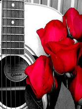 Cargar imagen en el visor de la galería, Evershine 5D DIY diamante pintura rosa completo cuadrado diamante bordado flor blanco y negro mosaico Rhinestone decoración del hogar regalo