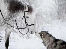 Laden Sie das Bild in den Galerie-Viewer, AZQSD Winter voller quadratischer Diamant Malerei Pferd DIY 5D handgemachtes Geschenk Diamant Stickerei Verkauf Tier Dekor für Zuhause Full Kits