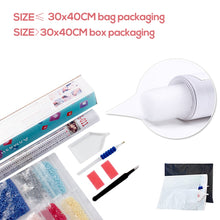 Cargar imagen en el visor de la galería, EverShine, pintura de diamantes, punto de cruz de ciudad, mosaico de diamantes, vista nocturna, paisaje, diamantes de imitación, arte, Kits de bordado de cuentas, decoración del hogar