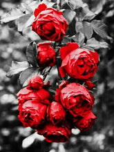 Cargar imagen en el visor de la galería, Evershine diamante bordado Rosa diamantes de imitación cuadros completo cuadrado diamante pintura flores negro blanco punto de cruz decoración del hogar