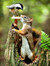 Cargar imagen en el visor de la galería, Evershine 5D pintura de diamantes animales ardilla bordado de diamantes cuadrado completo mosaico de diamantes punto de cruz paisaje decoración del hogar
