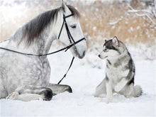 Laden Sie das Bild in den Galerie-Viewer, AZQSD Winter voller quadratischer Diamant Malerei Pferd DIY 5D handgemachtes Geschenk Diamant Stickerei Verkauf Tier Dekor für Zuhause Full Kits