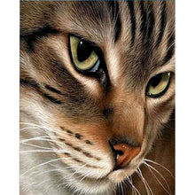 Cargar imagen en el visor de la galería, GATYZTORY marco gato Animal pintura por números pintado a mano único Diy regalo moderno hogar pared decoración 60x75cm pinturas acrílicas