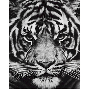 Pintura por números Diy, cabeza de tigre blanco y negro, pintura por número, regalo para adultos, imagen de Animal para colorear sobre lienzo, pintura acrílica