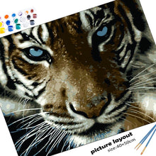 Carica l&#39;immagine nel visualizzatore della Galleria, Dipingi con i numeri Fai da te Testa di tigre bianca nera Dipinge con i numeri Kit Regalo per adulti Colorazione Immagine di animali su tela Vernice acrilica