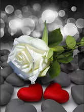 Cargar imagen en el visor de la galería, Evershine 5D DIY diamante pintura rosa completo cuadrado diamante bordado flor blanco y negro mosaico Rhinestone decoración del hogar regalo