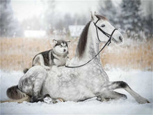 Laden Sie das Bild in den Galerie-Viewer, AZQSD Winter voller quadratischer Diamant Malerei Pferd DIY 5D handgemachtes Geschenk Diamant Stickerei Verkauf Tier Dekor für Zuhause Full Kits