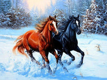 Cargar imagen en el visor de la galería, Evershine 5D diamante pintura caballo punto de cruz animales mosaico bordado conjunto completo invierno diamantes de imitación imágenes decoración hogar