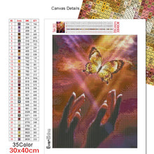 Cargar imagen en el visor de la galería, Evershine diamante bordado mariposa punto de cruz cuadrado completo diamante redondo pintura mano diamantes de imitación imágenes artesanías