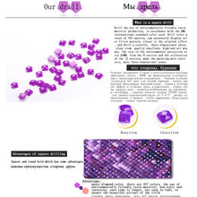 Cargar imagen en el visor de la galería, 5D DIY diamante pintura nuevas piedras cuadradas caballo salvaje diamante bordado venta animal diamante mosaico pantalla completa decoración del hogar XY1