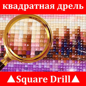 Pintura de diamantes 5D DIY "hada de la mariposa", bordado de diamantes completo, imagen de venta de diamantes de imitación para regalos de Festival