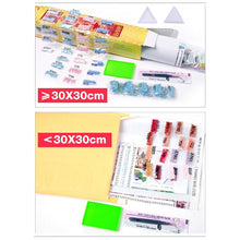 Charger l&#39;image dans la galerie, Zhui Star plein carré diamant 5D bricolage diamant peinture &quot;ange diable&quot; 3D broderie point de croix mosaïque peinture décor à la maison BK