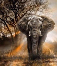 Cargar imagen en el visor de la galería, Moda 5D decoración del hogar Multi-estilo diamante pintura Cruz Ctitch Kit 20 patrón pared pegatina mosaico diamante bordado pintura