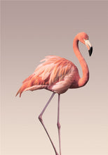 Cargar imagen en el visor de la galería, Flamenco flor lienzo nórdico pintura paisaje marino pared arte impresión imagen para sala de estar dormitorio decoración del hogar pintura sin marco