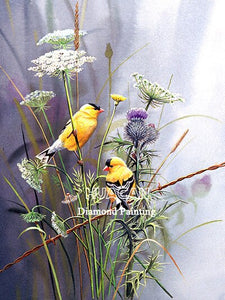 HUACAN 5D Diamond Painting Bird Mosaic Home Decoration Embroidery Animal Handmade Gift New Arrival Diamond Art