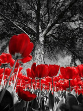 Cargar imagen en el visor de la galería, Evershine diamante bordado Rosa diamantes de imitación cuadros completo cuadrado diamante pintura flores negro blanco punto de cruz decoración del hogar