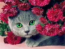 Load image into Gallery viewer, Huacan Diamond Mosaic Animal Diamond Painting Cats Diamond Embroidery Cross Stitch Flowers Picture Of Rhinestones Handcraft