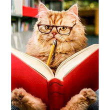Cargar imagen en el visor de la galería, GATYZTORY marco gato Animal pintura por números pintado a mano único Diy regalo moderno hogar pared decoración 60x75cm pinturas acrílicas