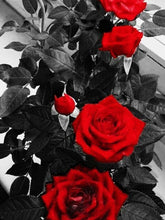 Cargar imagen en el visor de la galería, Evershine diamante bordado Rosa diamantes de imitación cuadros completo cuadrado diamante pintura flores negro blanco punto de cruz decoración del hogar