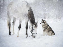 Laden Sie das Bild in den Galerie-Viewer, AZQSD Winter voller quadratischer Diamant Malerei Pferd DIY 5D handgemachtes Geschenk Diamant Stickerei Verkauf Tier Dekor für Zuhause Full Kits