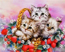 Load image into Gallery viewer, Huacan Diamond Mosaic Animal Diamond Painting Cats Diamond Embroidery Cross Stitch Flowers Picture Of Rhinestones Handcraft