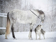 Laden Sie das Bild in den Galerie-Viewer, AZQSD Winter voller quadratischer Diamant Malerei Pferd DIY 5D handgemachtes Geschenk Diamant Stickerei Verkauf Tier Dekor für Zuhause Full Kits