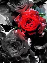 Cargar imagen en el visor de la galería, Evershine diamante bordado Rosa diamantes de imitación cuadros completo cuadrado diamante pintura flores negro blanco punto de cruz decoración del hogar