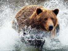 Cargar imagen en el visor de la galería, Bordado de diamantes, Animal Natural, pintura de diamantes cuadrados completos, imágenes de osos, diamantes de imitación, punto de cruz, mosaico de diamantes, decoración del hogar