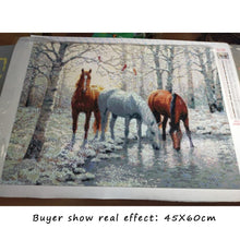 Cargar imagen en el visor de la galería, Evershine 5D diamante pintura caballo punto de cruz animales mosaico bordado conjunto completo invierno diamantes de imitación imágenes decoración hogar