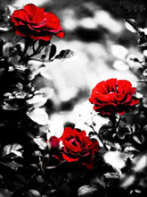 Cargar imagen en el visor de la galería, Evershine diamante bordado Rosa diamantes de imitación cuadros completo cuadrado diamante pintura flores negro blanco punto de cruz decoración del hogar