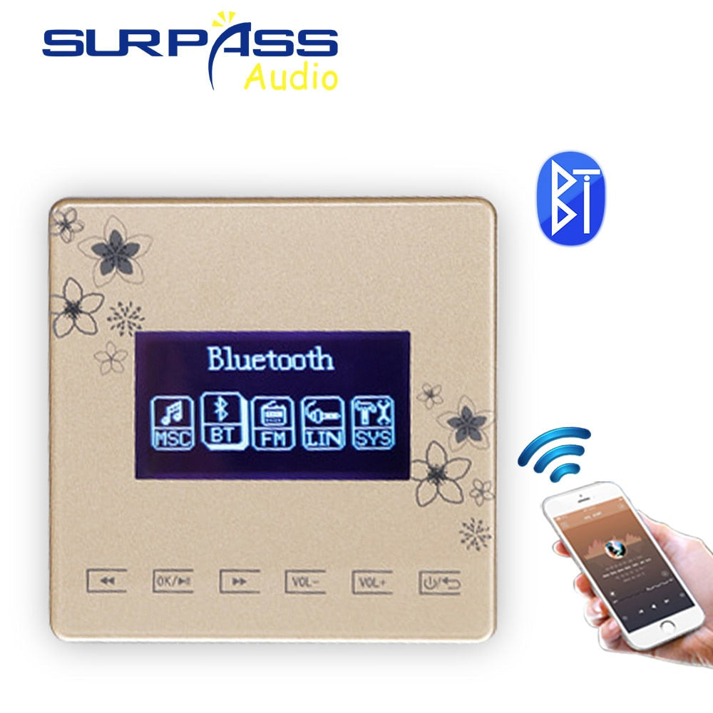 Bluetooth-Verstärker Smart Home Audio Mini in Wandverstärker 86 Typ Unterstützung FM Bluetooth USB TF MP3 SURPASS