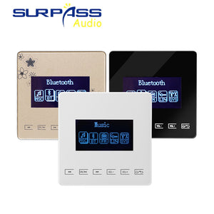 Bluetooth-Verstärker Smart Home Audio Mini in Wandverstärker 86 Typ Unterstützung FM Bluetooth USB TF MP3 SURPASS