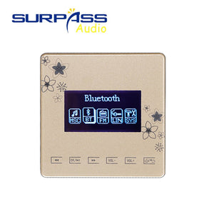 bluetooth amplifier smart home audio mini in wall amplifier 86 type support FM bluetooth USB TF MP3 SURPASS