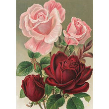 Cargar imagen en el visor de la galería, DIY 5D pintura de diamantes flores bordado de diamantes rosas flores mosaico de diamantes de imitación regalo de cumpleaños decoración del hogar