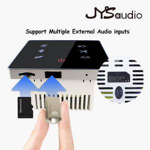 Amplificatore compatibile Bluetooth a parete Scheda SD USB Pannello musicale Casa intelligente Sistema audio di sottofondo Stereo Hotel Ristorante Locanda