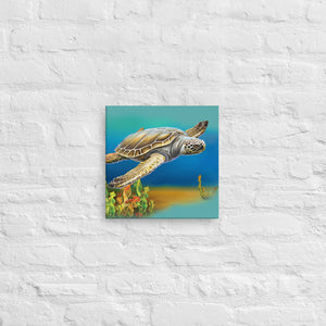 Stampa su tela Arte della parete Soggiorno Tartaruga marina millenaria Dipinti Immagini e decorazioni
